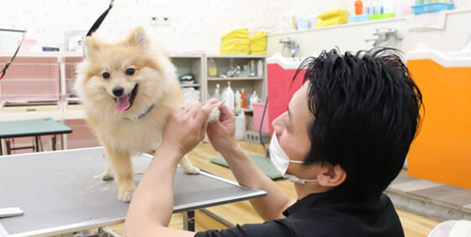 とりみんぐさろん犬の床屋